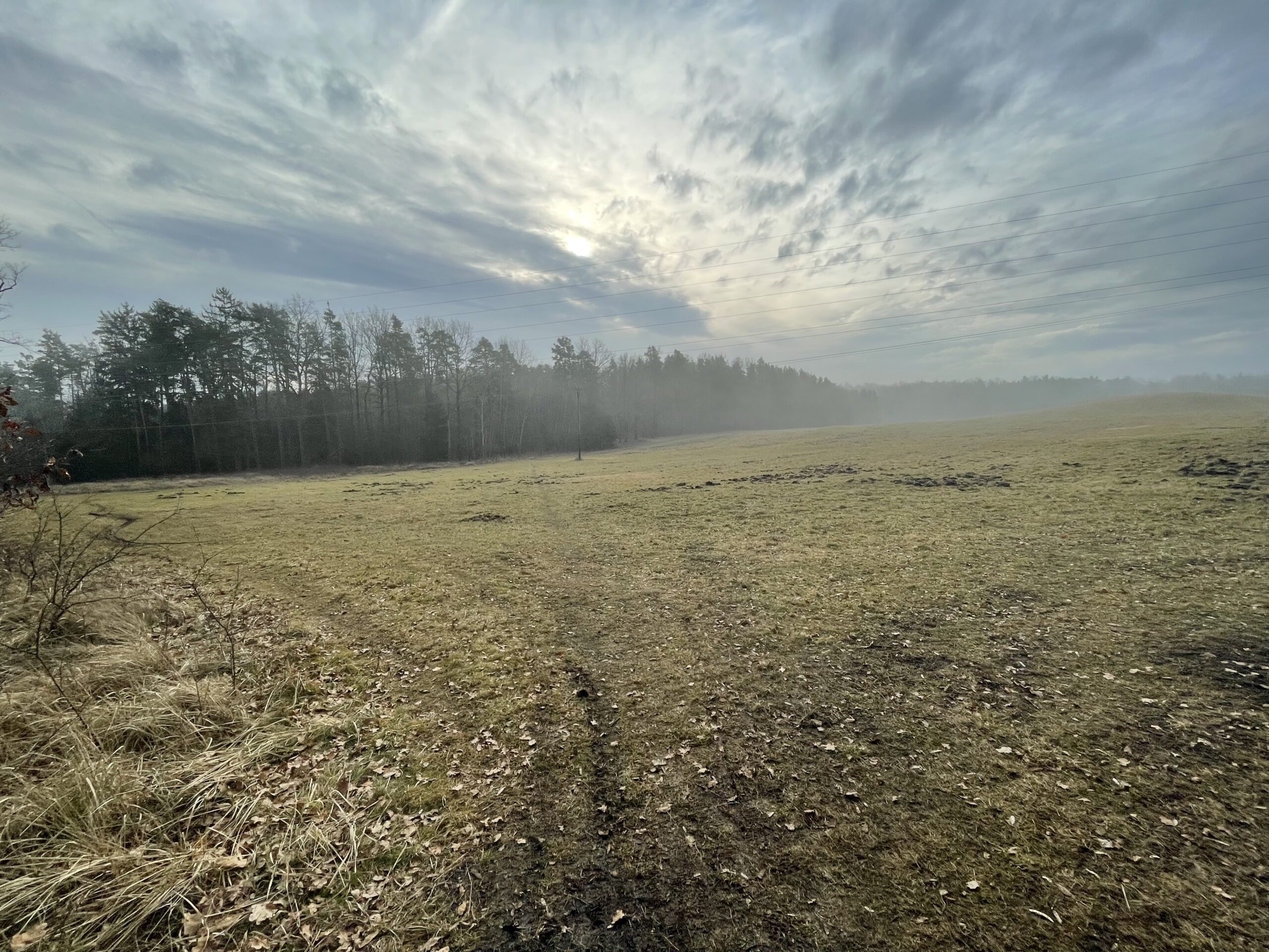 příroda
